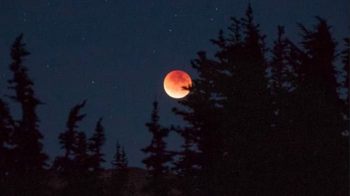 Banyak Yang Kecele, Video Viral Gerhana Bulan Supermoon Di Facebook Ternyata Palsu Banyak Yang Kecele, Video Viral Gerhana Bulan Supermoon Di Facebook Ternyata Palsu