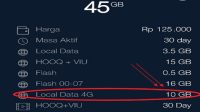 Kuota Internet Lokal Telkomsel, Pengertian dan Cara Pakai