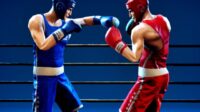 Daftar 5 Game Boxing Offline Android Terbaik di Tahun Ini