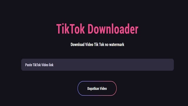 Begini Cara Download Video TikTok yang di Privasi