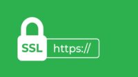 Apa Itu SSL, Pengertian dan Fungsinya untuk Web