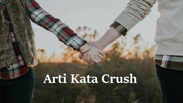 Apa Arti Crush, Istilah Gaul Anak Muda Sekarang