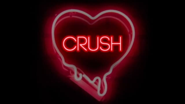 Apa Arti Crush, Istilah Gaul Anak Muda Sekarang