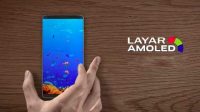 layar amoled Hp Layar Amoled Murah Tahun 2022, Ini Daftarnya