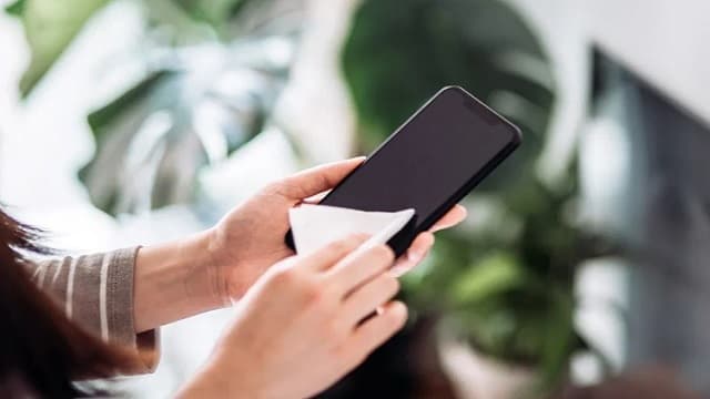 Mudah, Begini Cara Menghilangkan Jamur di Hp