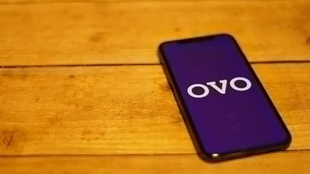 Tidak Bisa Login di Aplikasi OVO, Begini Cara Mengatasinya