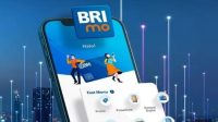 Login BRImo Gagal, Ini Solusi Untuk Mengatasinya