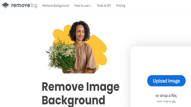 Remove Bg Error dan Tidak Bisa Upload Foto, Ini Solusinya