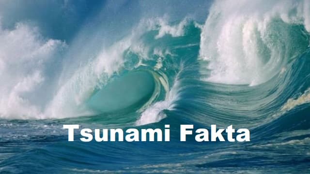 tsunami fakta Ternyata Ini Arti Kata Tsunami Fakta yang Viral di Media Sosial