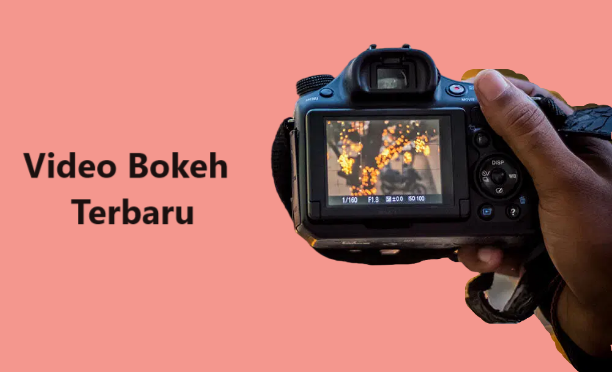 Video Bokeh Terbaru Video Bokeh Terbaru