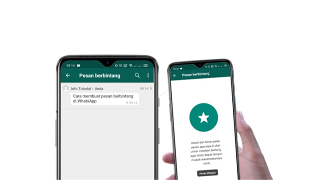 Cara Melihat Pesan Berbintang Di WA